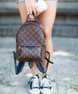 Рюкзак Louis Vuitton Palm Spring Backpack Medium
